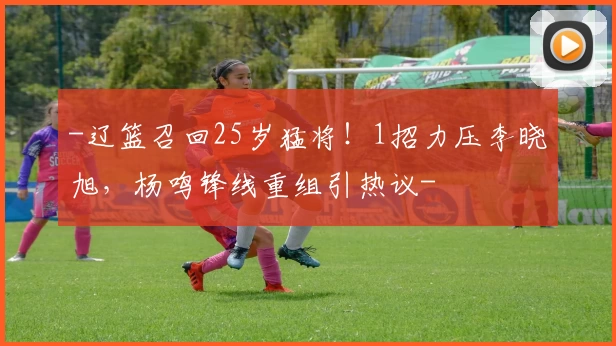 -辽篮召回25岁猛将!1招力压李晓旭,杨鸣锋线重组引热议-