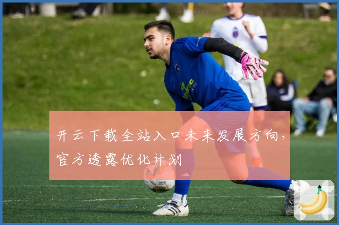 开云下载全站入口未来发展方向,官方透露优化计划