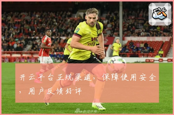开云平台正规渠道，保障使用安全，用户反馈好评