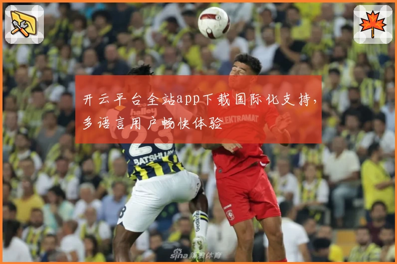 开云平台全站app下载国际化支持，多语言用户畅快体验