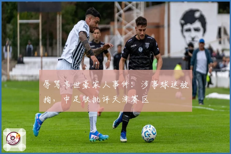 辱骂韦世豪家人事件:涉事球迷被拘,中足联批评天津赛区