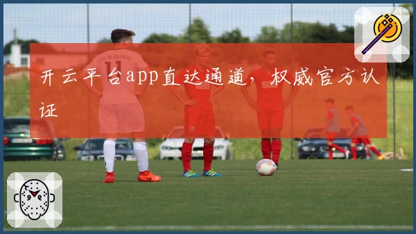 开云平台app直达通道，权威官方认证