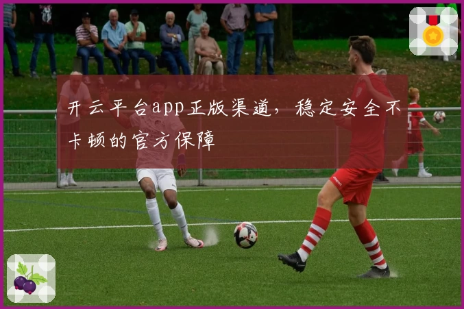 开云平台app正版渠道,稳定安全不卡顿的官方保障