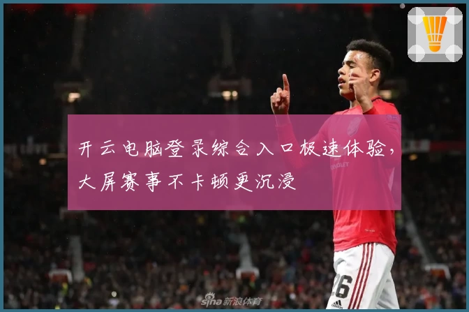 开云电脑登录综合入口极速体验，大屏赛事不卡顿更沉浸